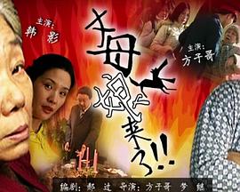 暴躁老妈,最新dj网东南亚歌曲大全